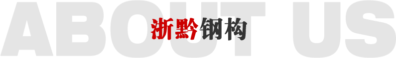 公司简介